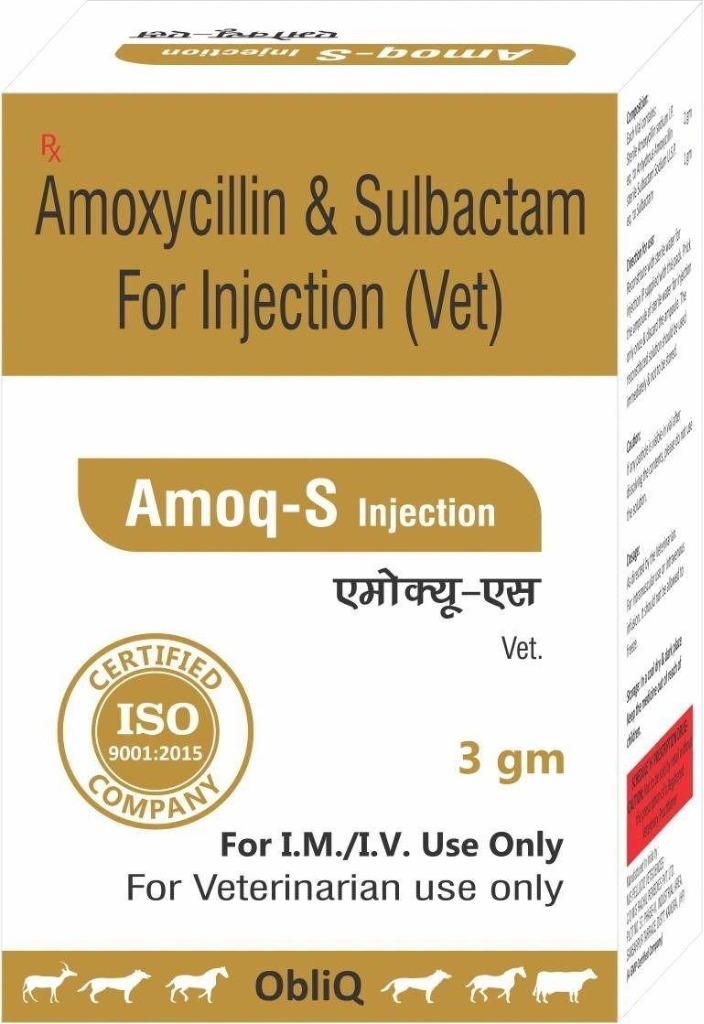 Amoq-S Injection