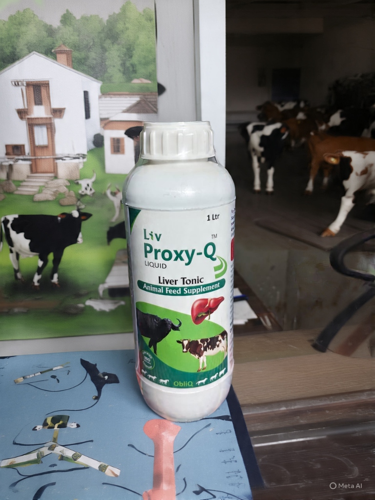Liv Proxy-Q Liquid