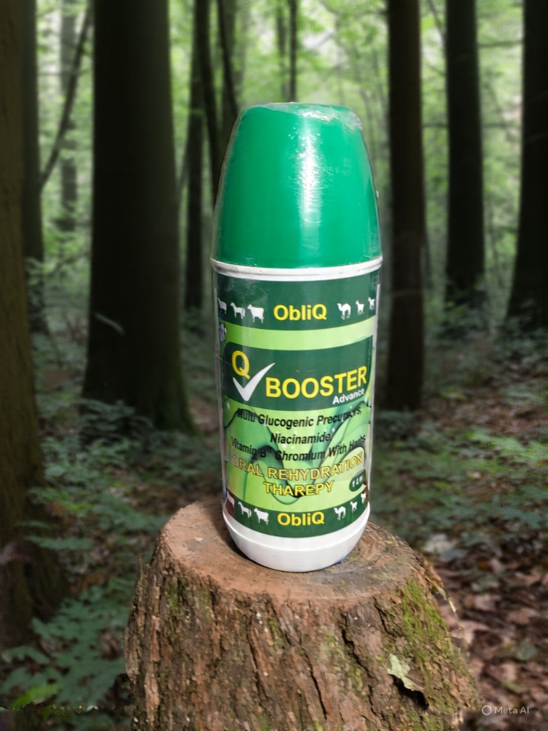 Q Booster Advance